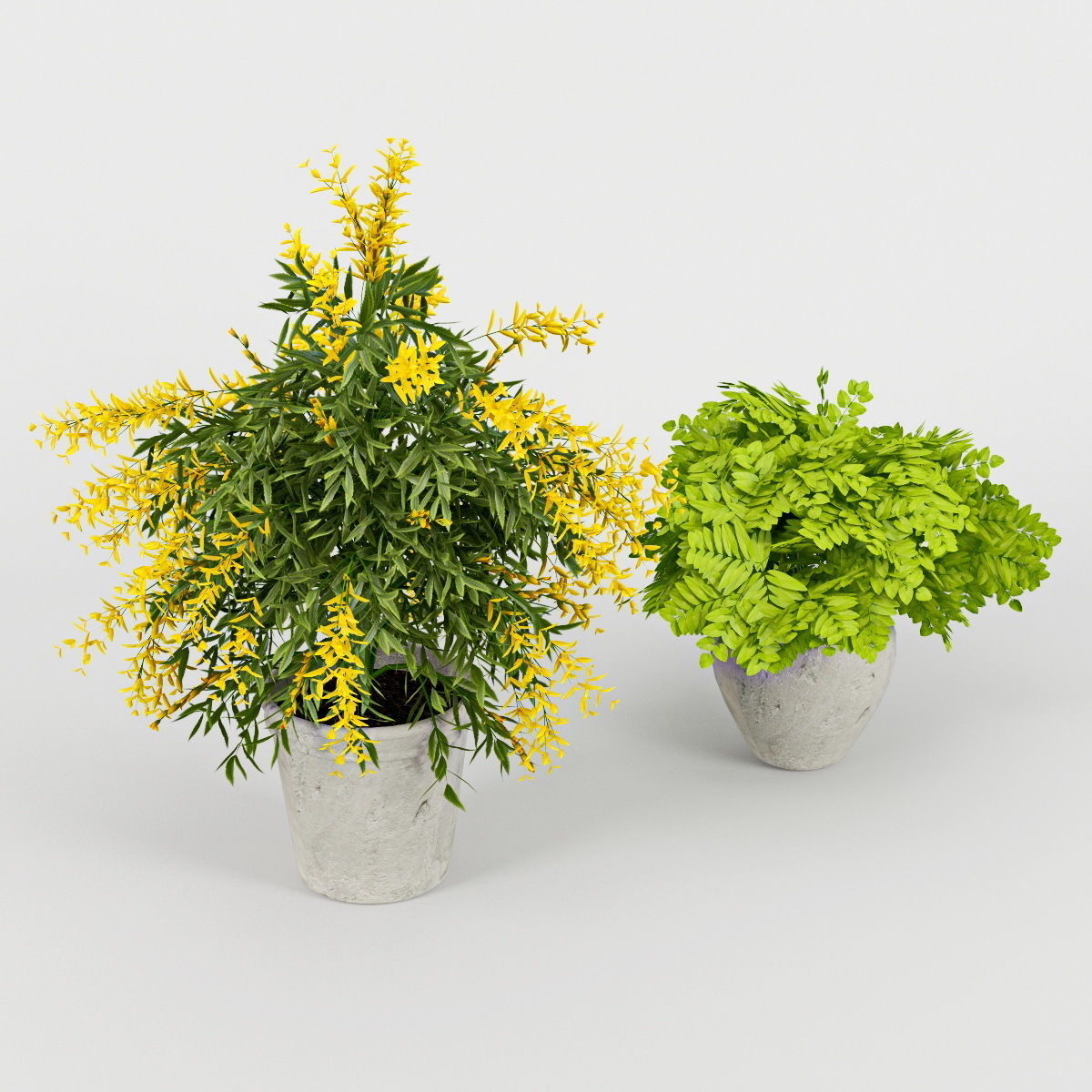 Flower Pot 3D model_3