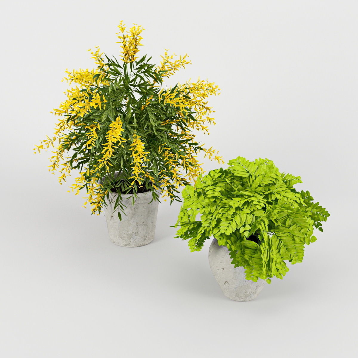 Flower Pot 3D model_2
