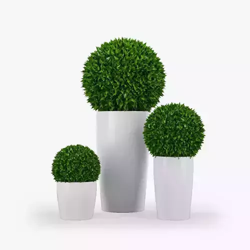 Shrub Layer 3D model
