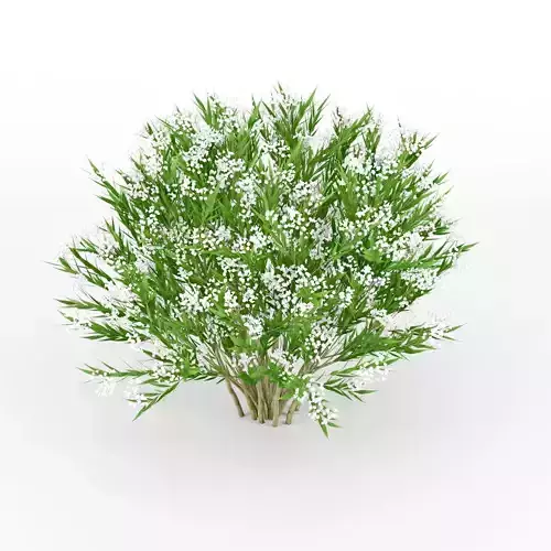 Nerium bush 3D model