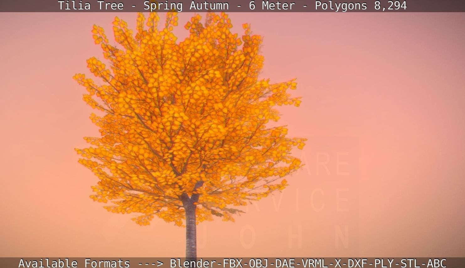 Tilia Tree - 6 Meter - Autumn  Low-poly 3D model_42
