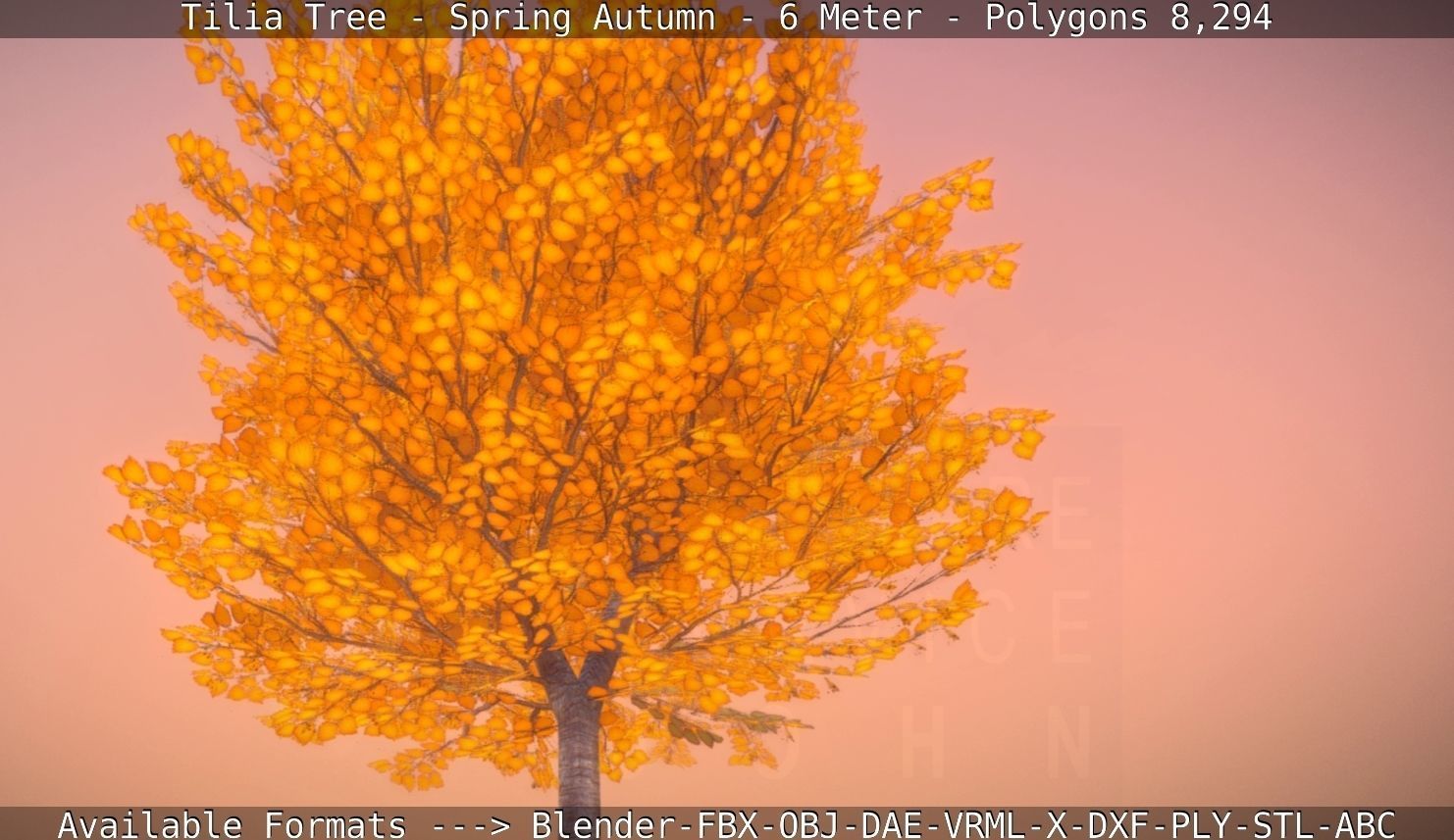 Tilia Tree - 6 Meter - Autumn  Low-poly 3D model_7