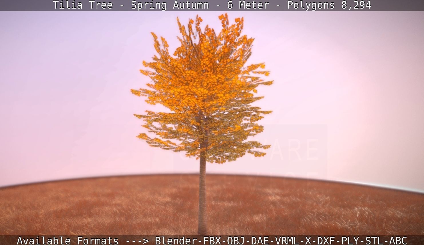 Tilia Tree - 6 Meter - Autumn  Low-poly 3D model_16