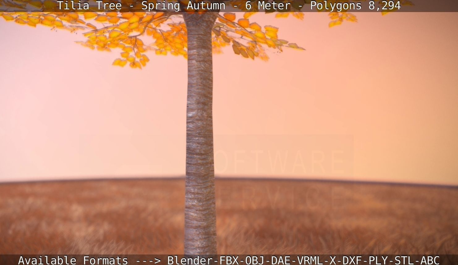 Tilia Tree - 6 Meter - Autumn  Low-poly 3D model_107