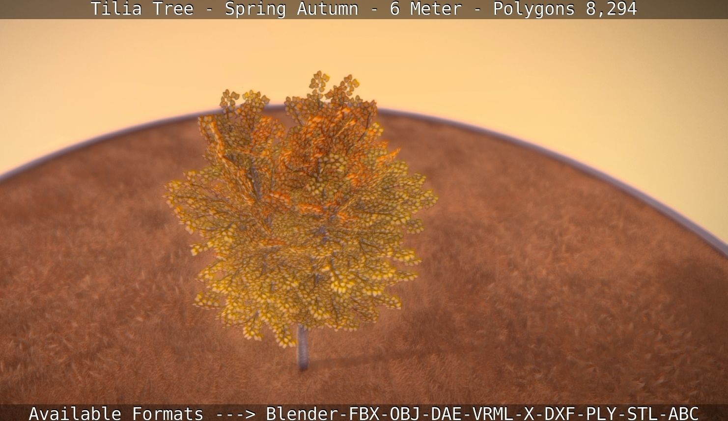 Tilia Tree - 6 Meter - Autumn  Low-poly 3D model_53