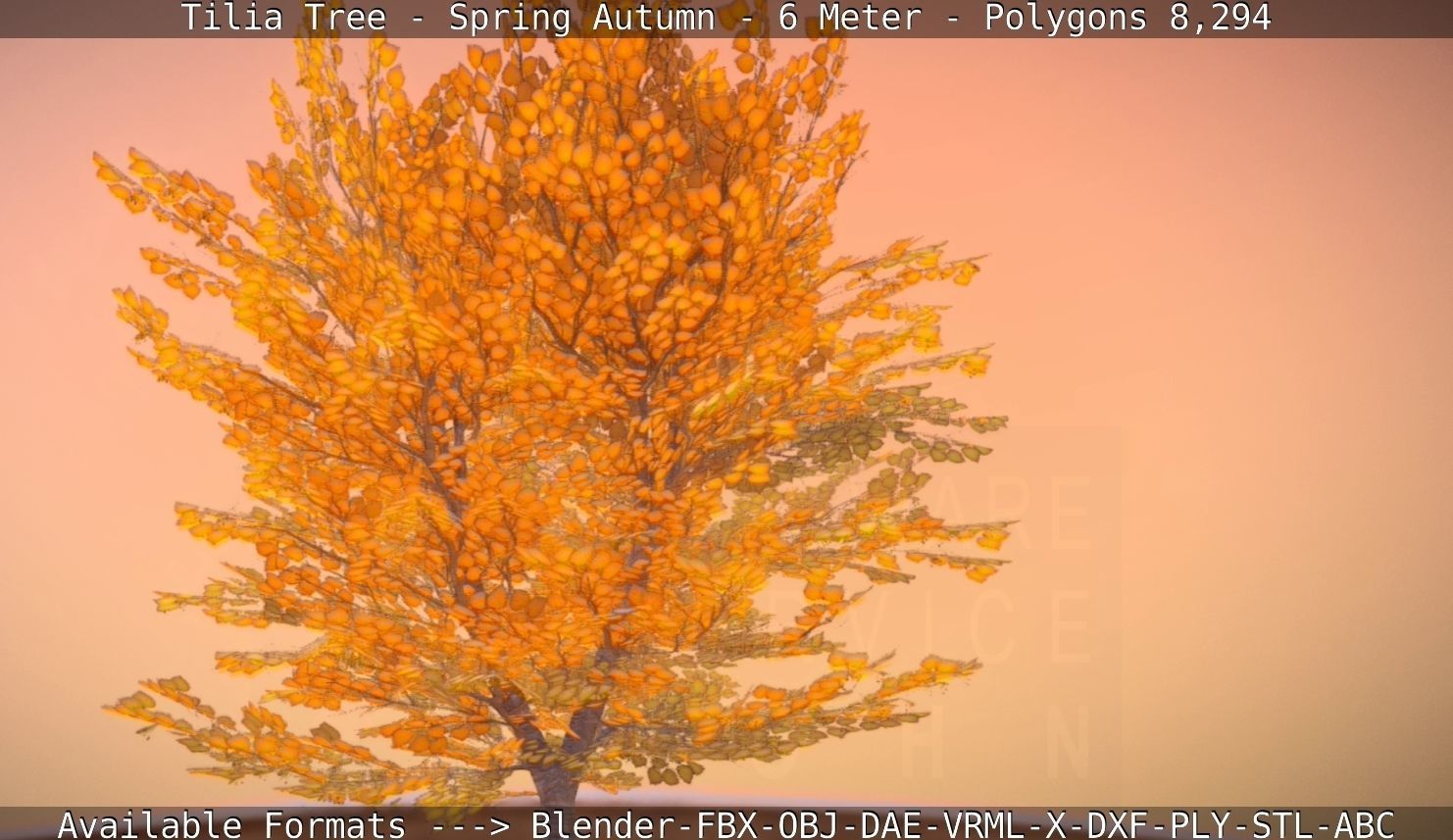 Tilia Tree - 6 Meter - Autumn  Low-poly 3D model_46