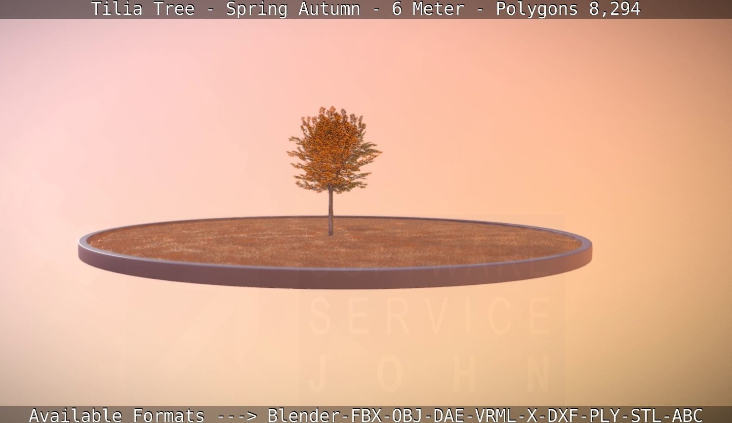 Tilia Tree - 6 Meter - Autumn  Low-poly 3D model_62