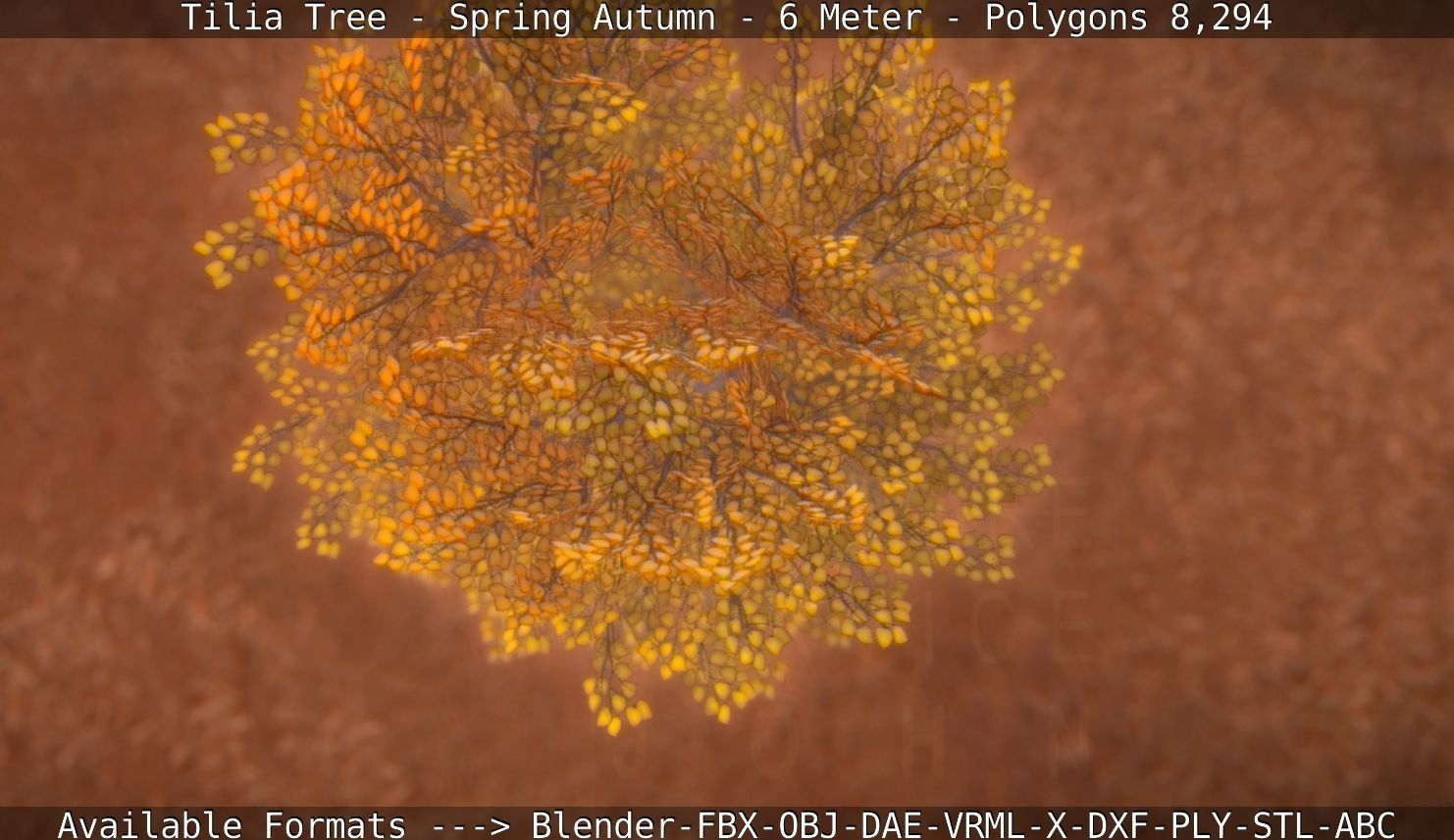 Tilia Tree - 6 Meter - Autumn  Low-poly 3D model_114