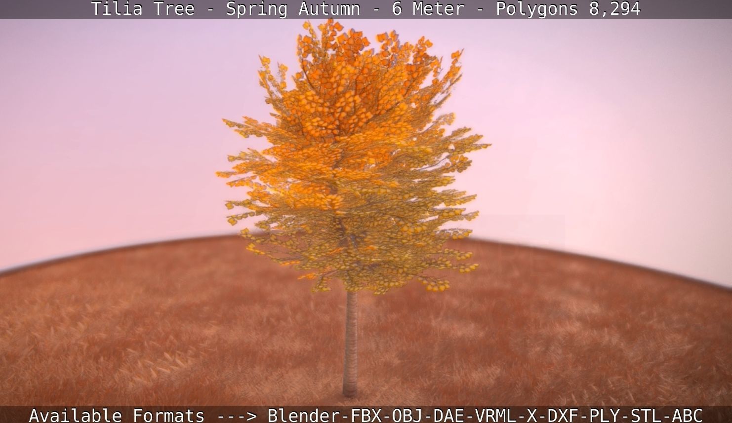 Tilia Tree - 6 Meter - Autumn  Low-poly 3D model_19