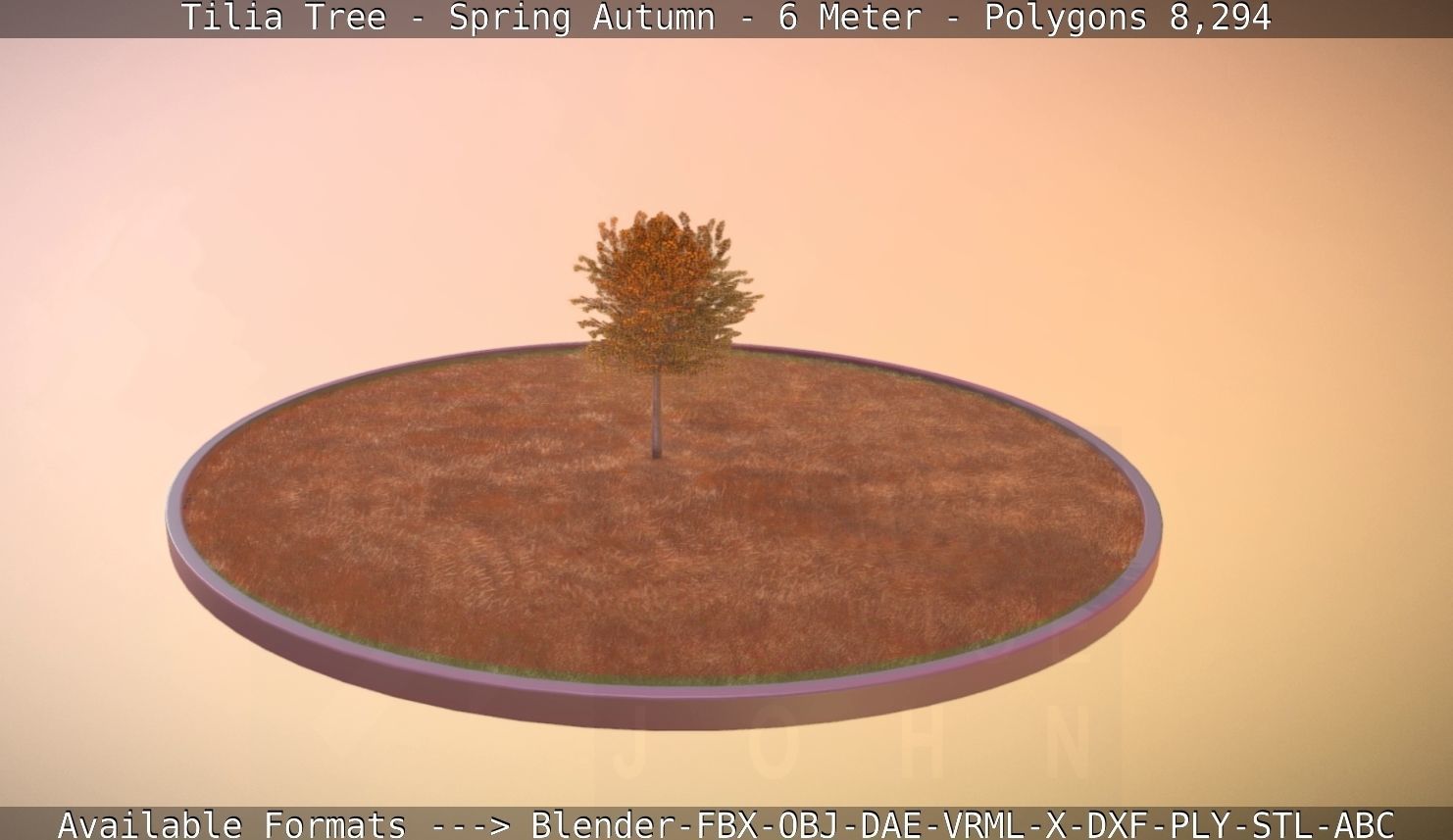 Tilia Tree - 6 Meter - Autumn  Low-poly 3D model_60