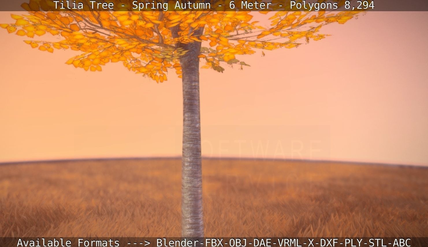 Tilia Tree - 6 Meter - Autumn  Low-poly 3D model_81