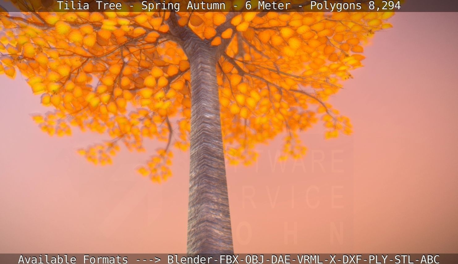 Tilia Tree - 6 Meter - Autumn  Low-poly 3D model_82