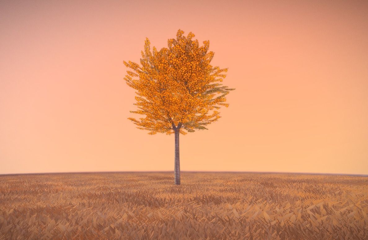 Tilia Tree - 6 Meter - Autumn  Low-poly 3D model_6