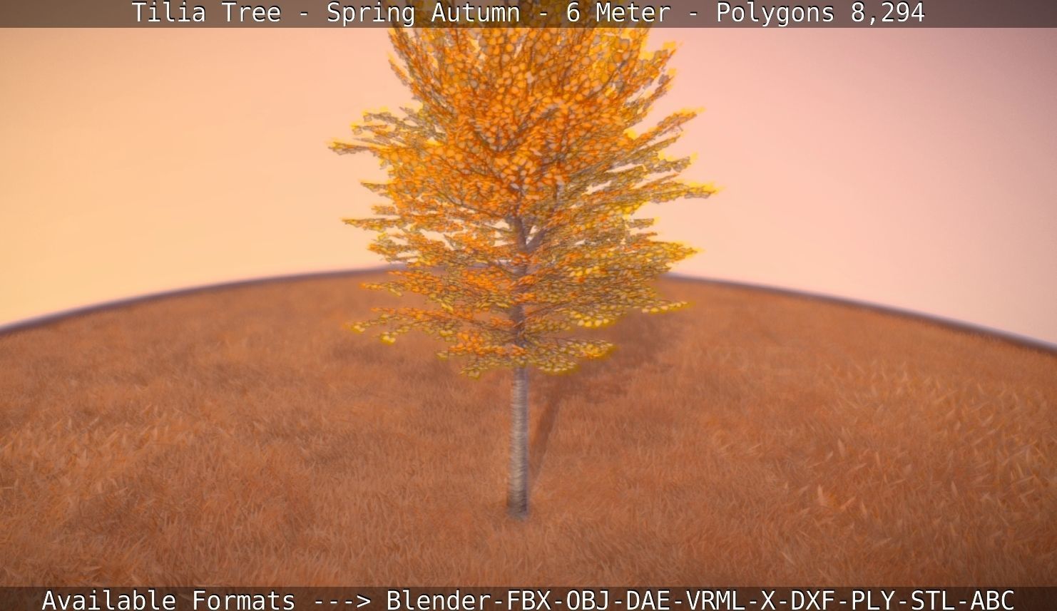Tilia Tree - 6 Meter - Autumn  Low-poly 3D model_69