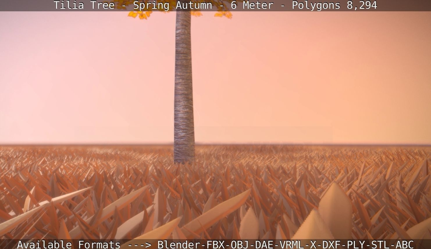 Tilia Tree - 6 Meter - Autumn  Low-poly 3D model_102