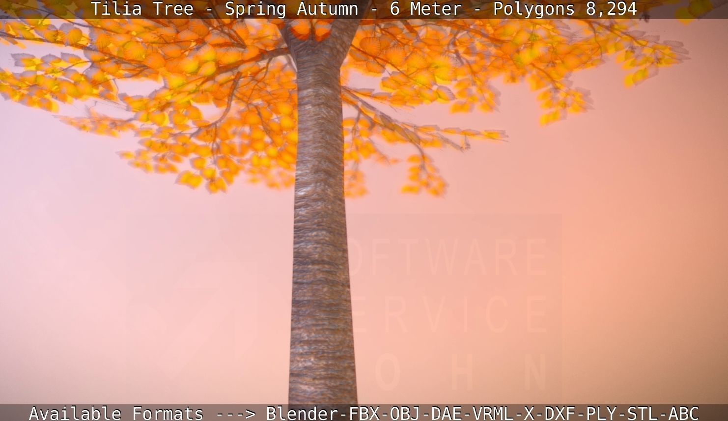 Tilia Tree - 6 Meter - Autumn  Low-poly 3D model_86