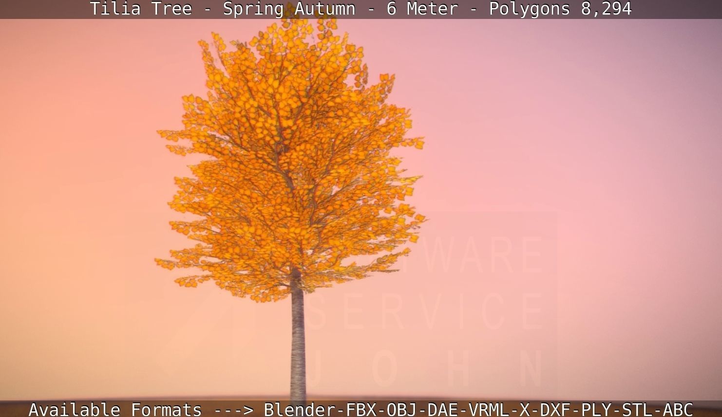 Tilia Tree - 6 Meter - Autumn  Low-poly 3D model_36