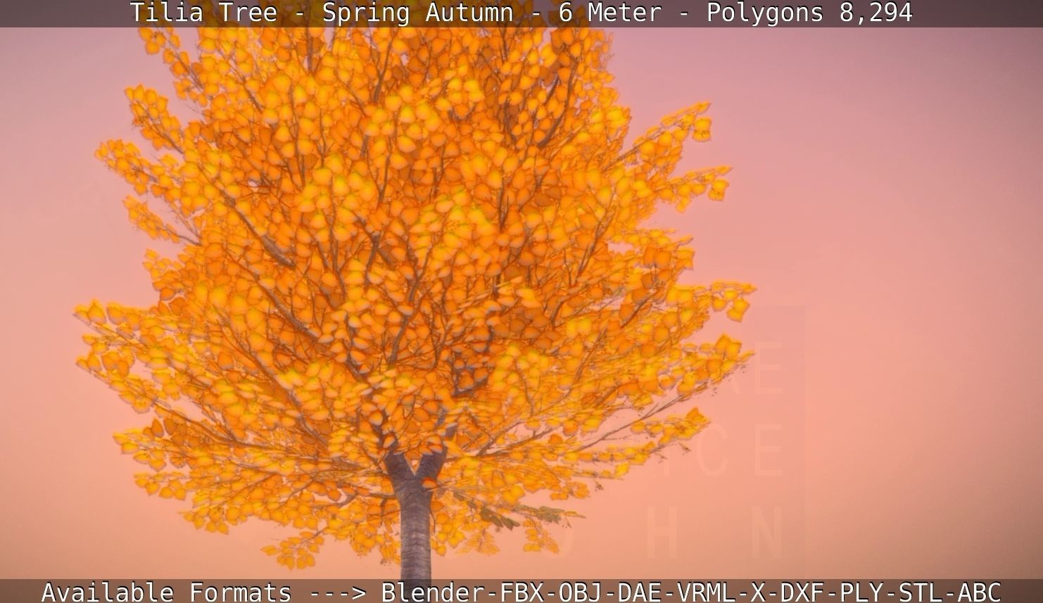 Tilia Tree - 6 Meter - Autumn  Low-poly 3D model_49