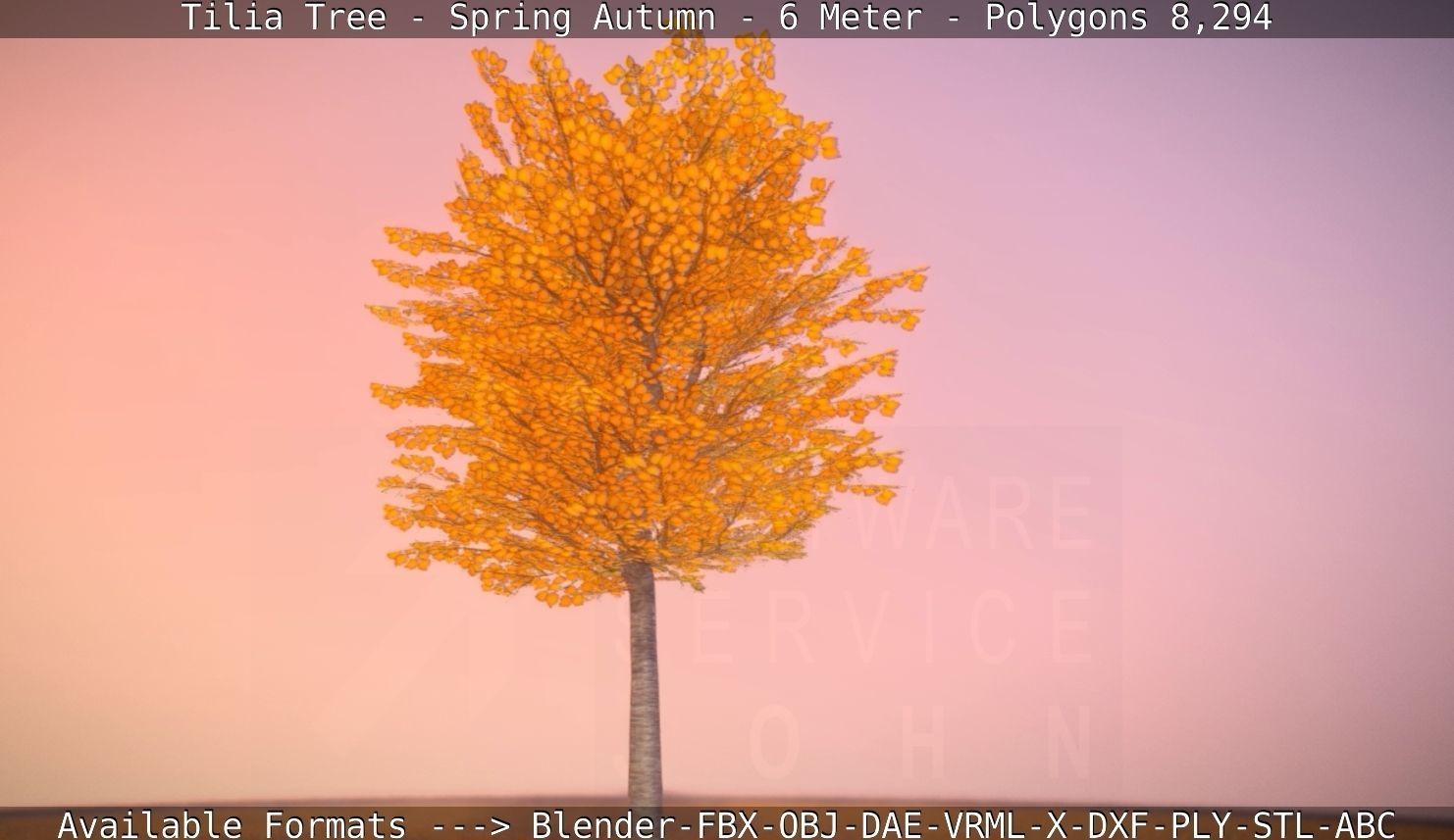 Tilia Tree - 6 Meter - Autumn  Low-poly 3D model_32