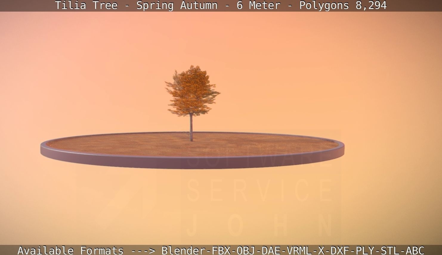 Tilia Tree - 6 Meter - Autumn  Low-poly 3D model_65