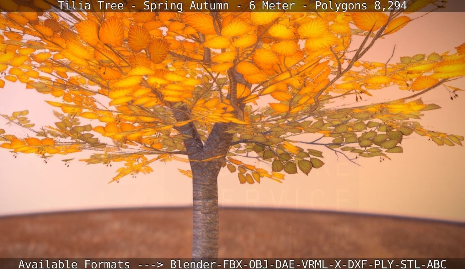 Tilia Tree - 6 Meter - Autumn  Low-poly 3D model_1