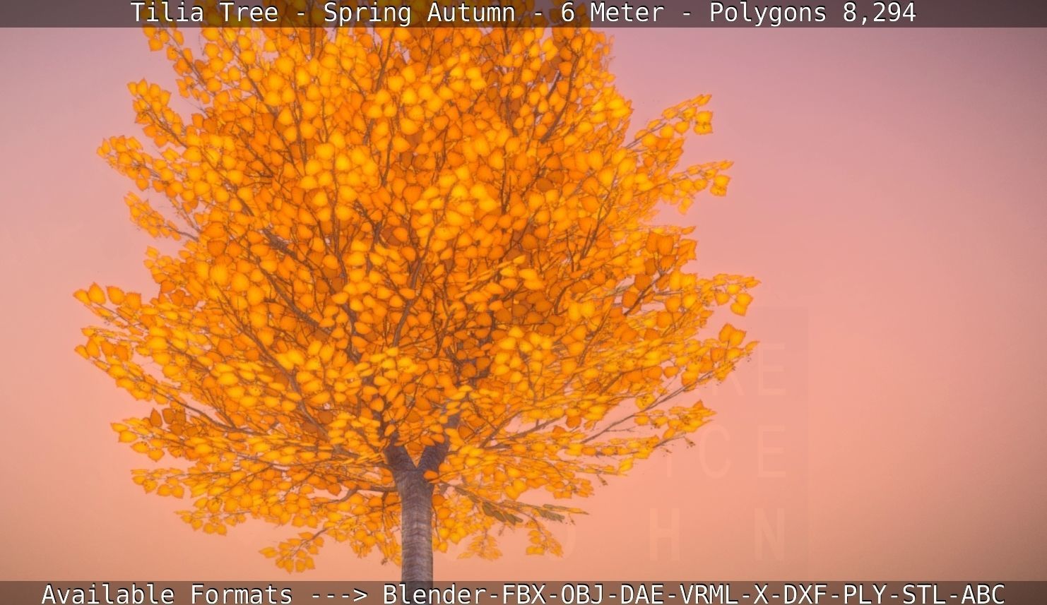 Tilia Tree - 6 Meter - Autumn  Low-poly 3D model_45