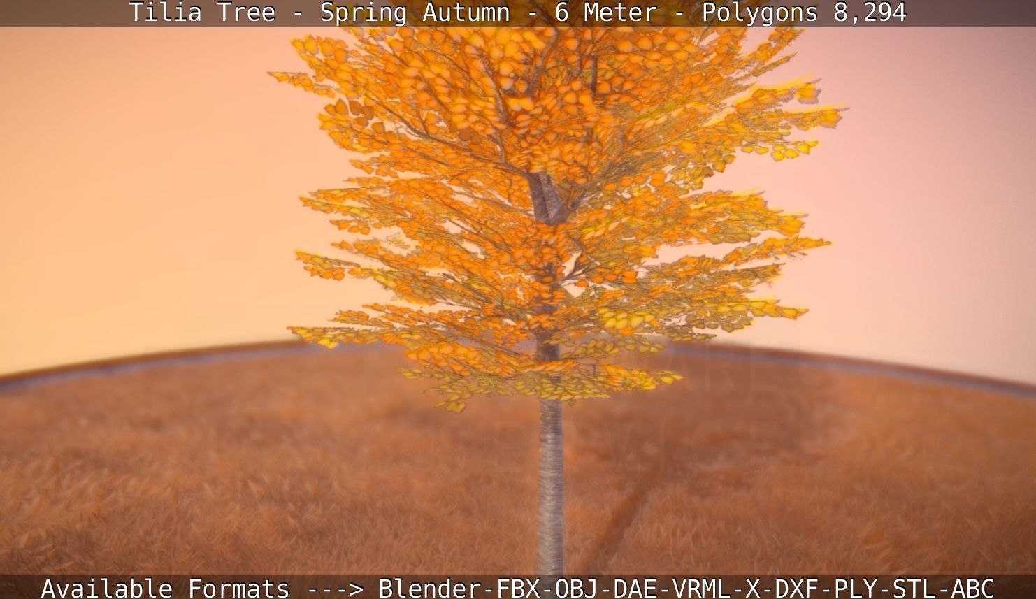 Tilia Tree - 6 Meter - Autumn  Low-poly 3D model_73