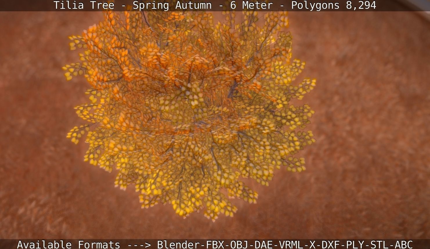 Tilia Tree - 6 Meter - Autumn  Low-poly 3D model_112