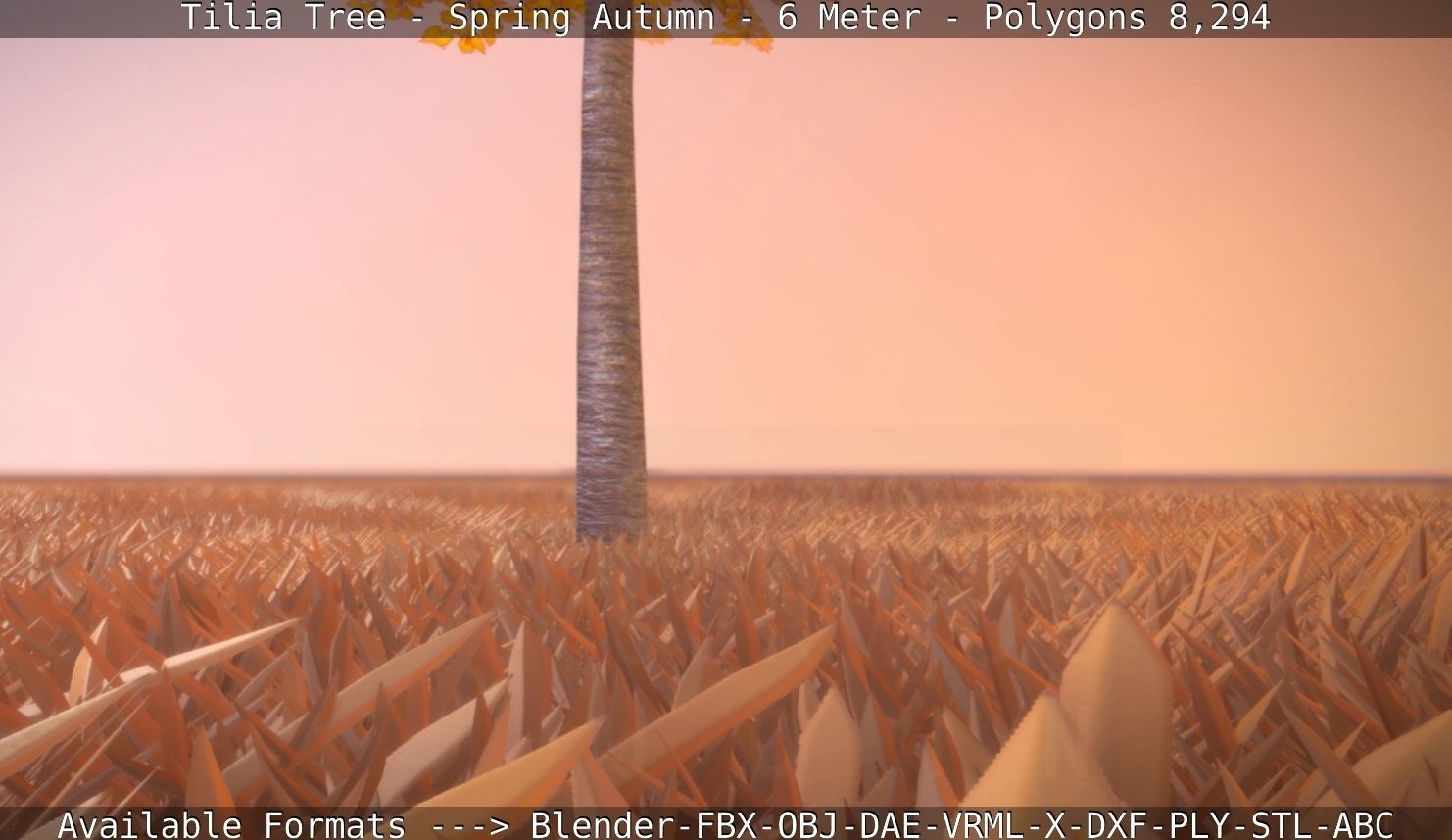 Tilia Tree - 6 Meter - Autumn  Low-poly 3D model_100