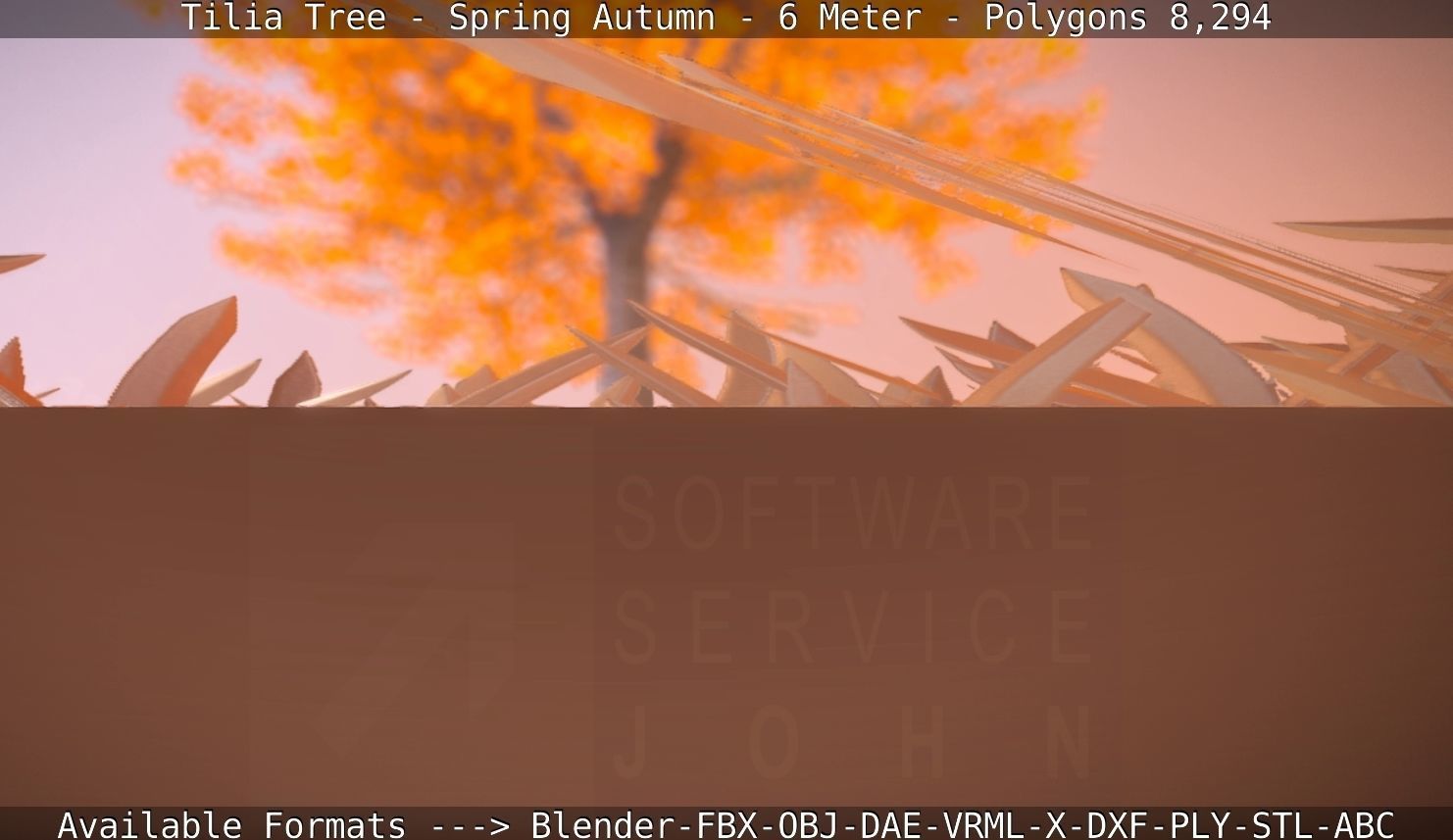 Tilia Tree - 6 Meter - Autumn  Low-poly 3D model_87