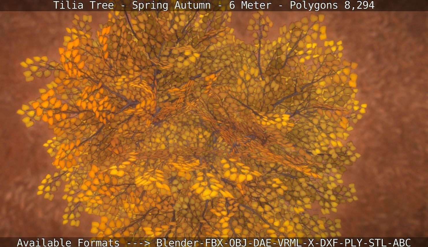 Tilia Tree - 6 Meter - Autumn  Low-poly 3D model_117