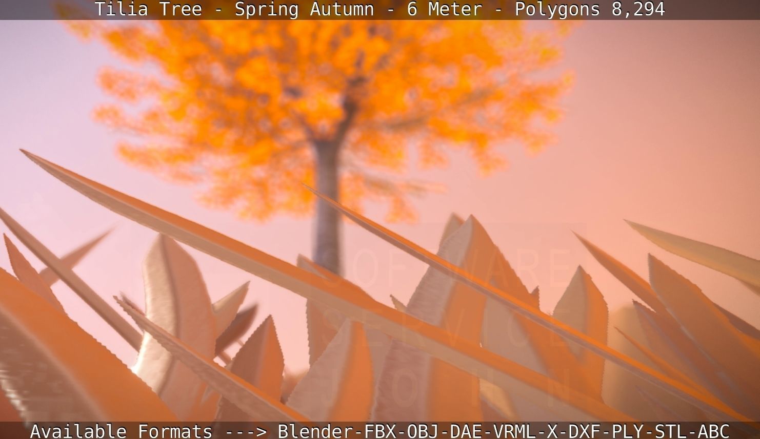Tilia Tree - 6 Meter - Autumn  Low-poly 3D model_92