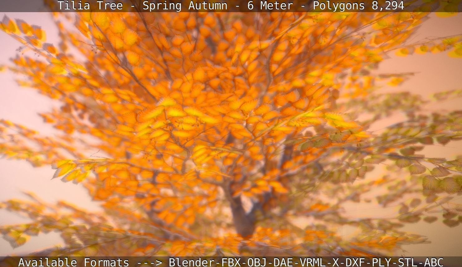 Tilia Tree - 6 Meter - Autumn  Low-poly 3D model_109