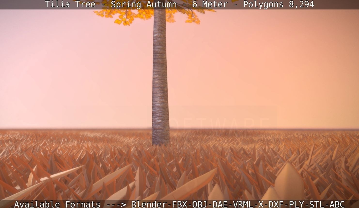 Tilia Tree - 6 Meter - Autumn  Low-poly 3D model_98