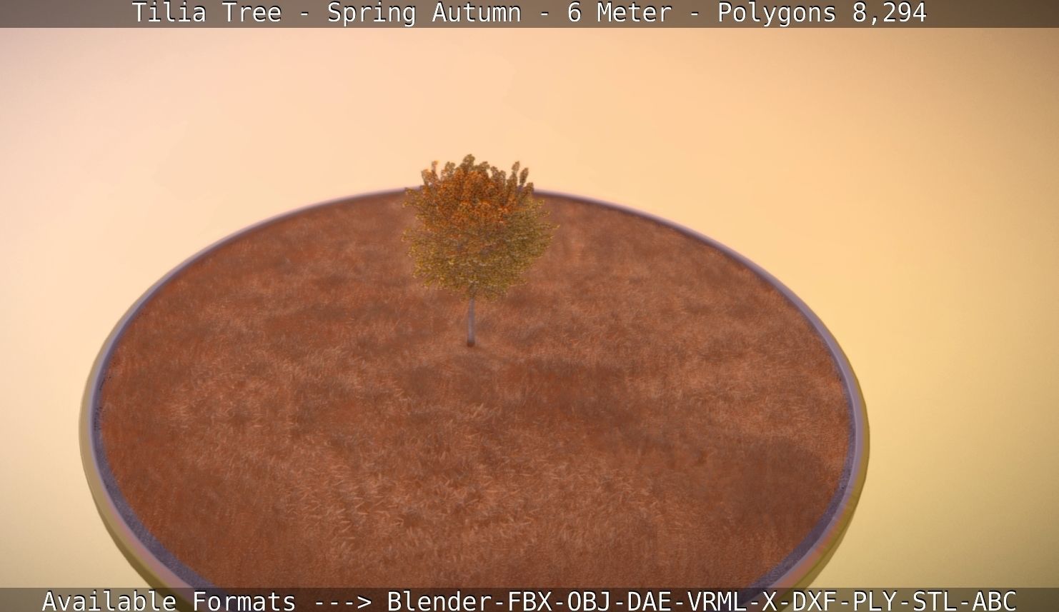 Tilia Tree - 6 Meter - Autumn  Low-poly 3D model_55