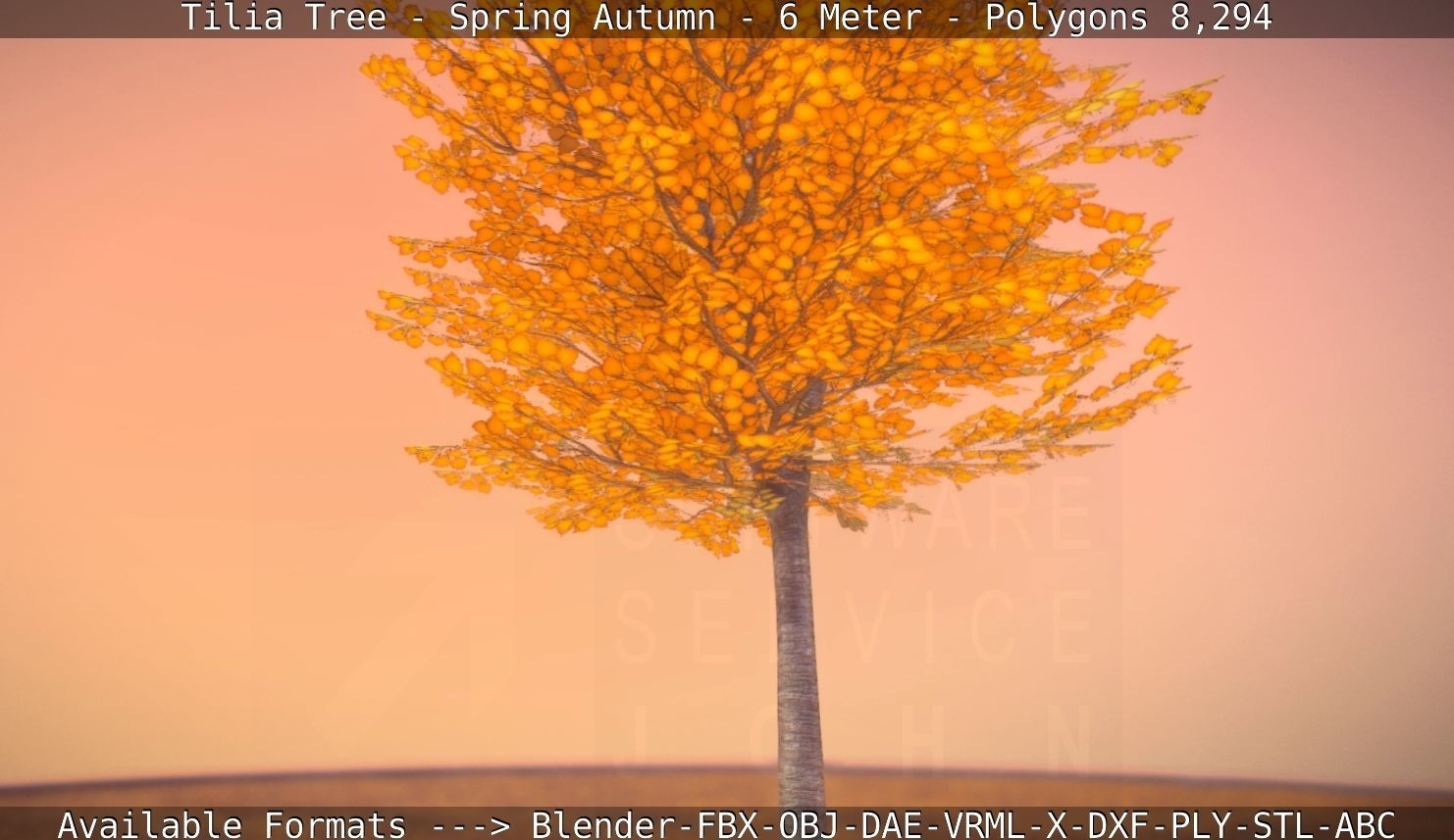 Tilia Tree - 6 Meter - Autumn  Low-poly 3D model_76