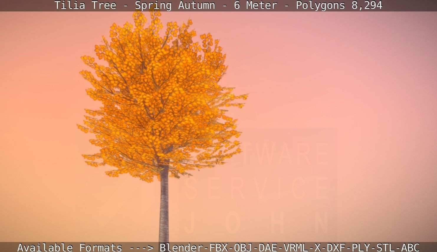 Tilia Tree - 6 Meter - Autumn  Low-poly 3D model_33