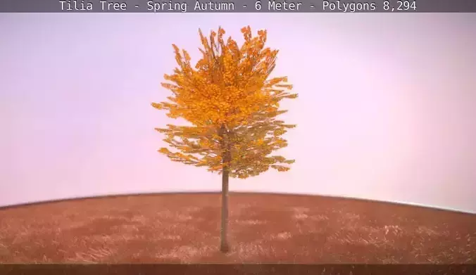 Tilia Tree - 6 Meter - Autumn  Low-poly 3D model