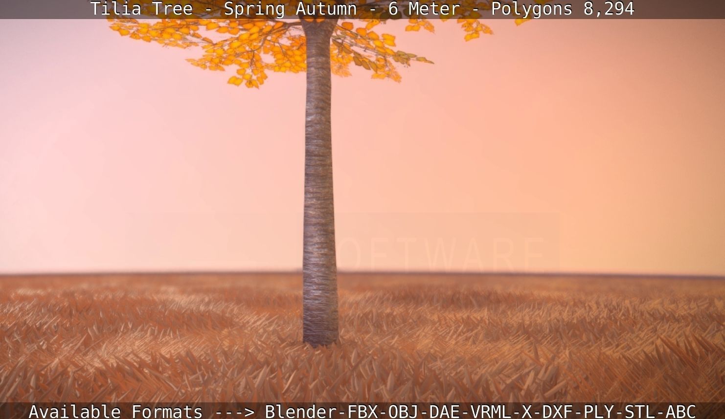 Tilia Tree - 6 Meter - Autumn  Low-poly 3D model_94