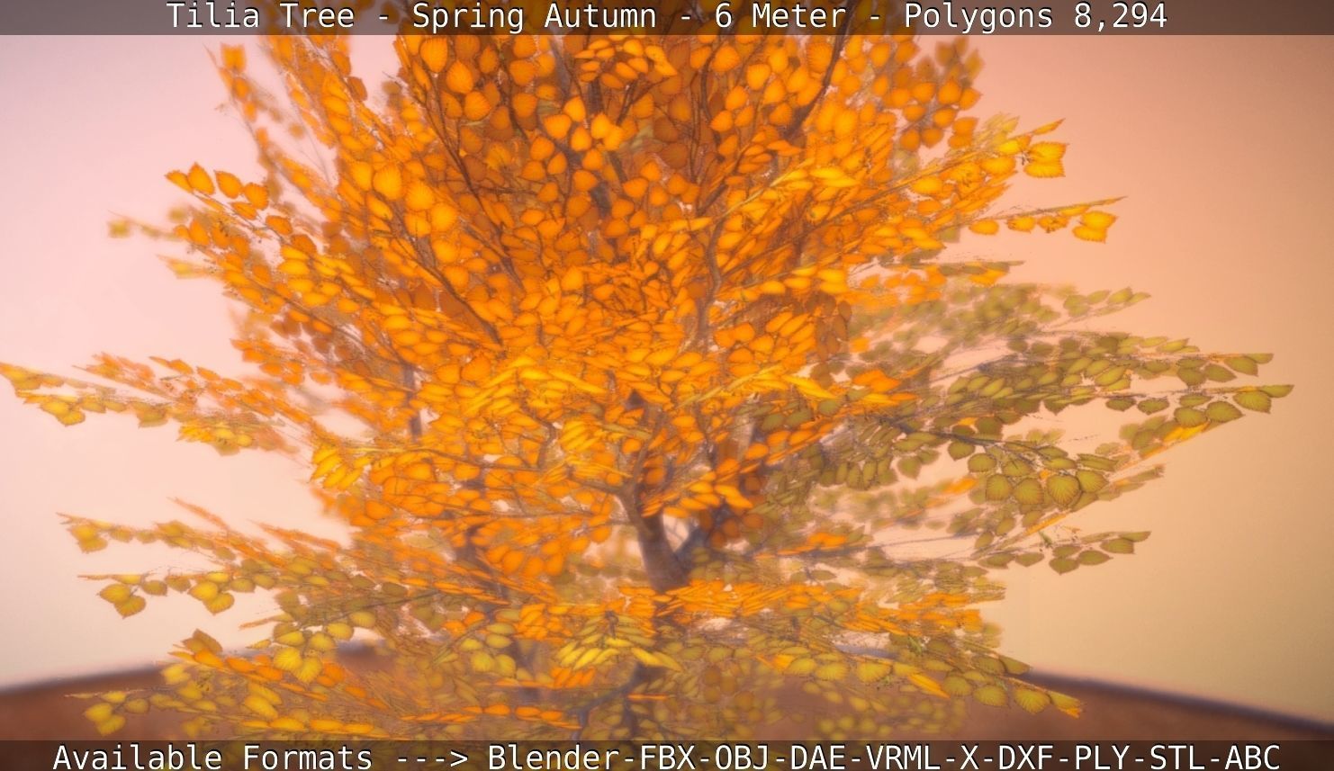 Tilia Tree - 6 Meter - Autumn  Low-poly 3D model_111