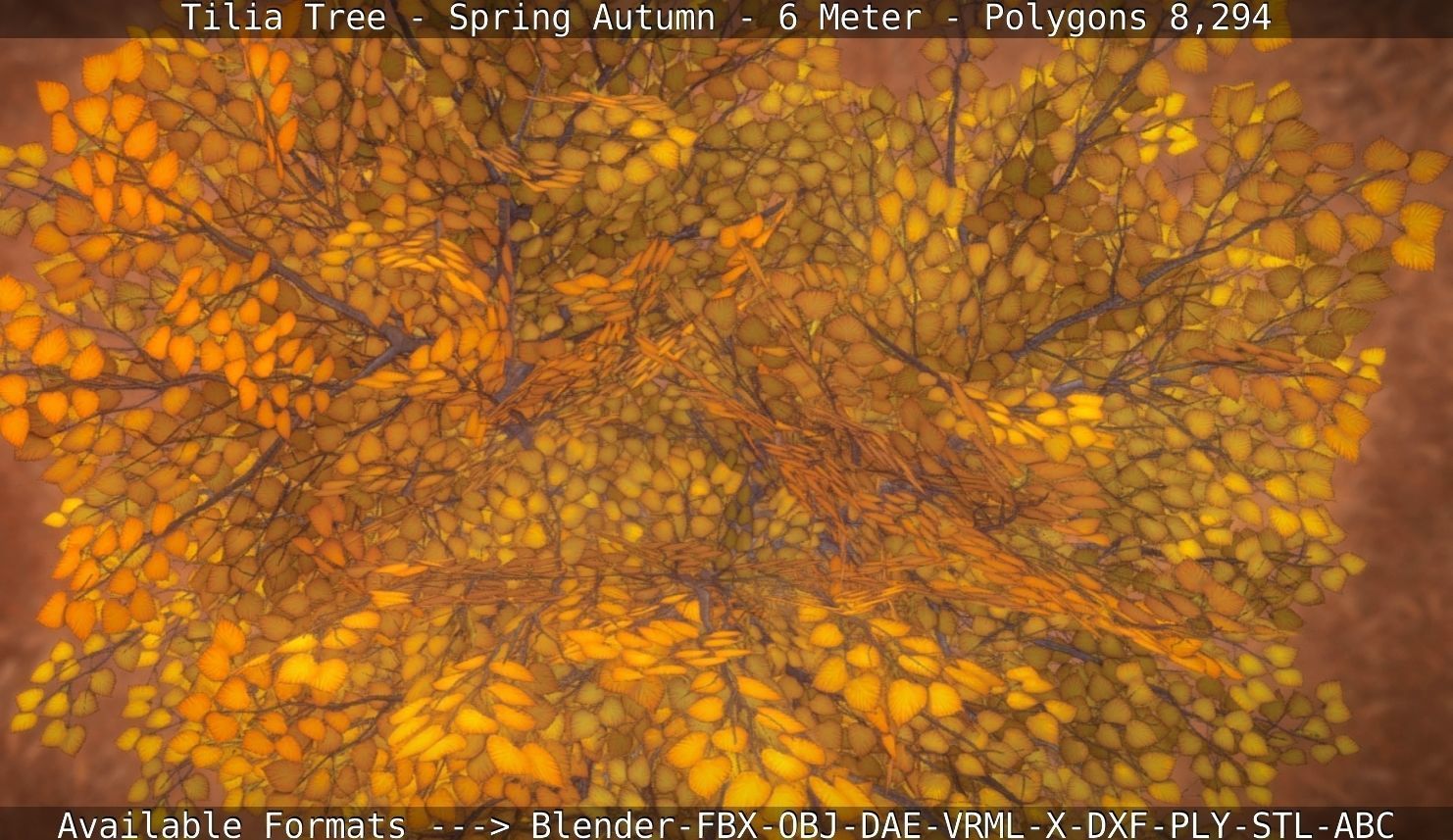 Tilia Tree - 6 Meter - Autumn  Low-poly 3D model_118