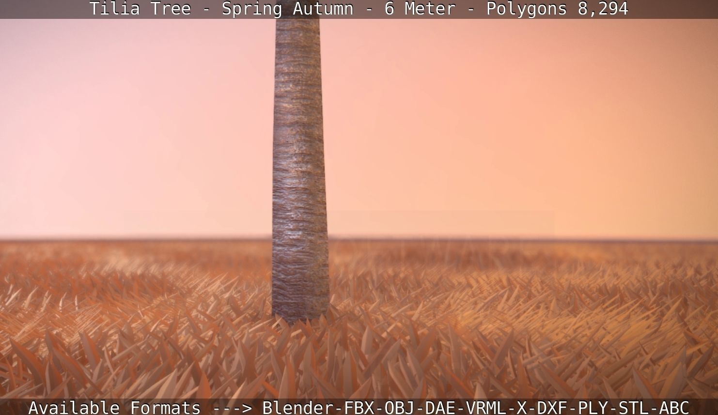 Tilia Tree - 6 Meter - Autumn  Low-poly 3D model_106