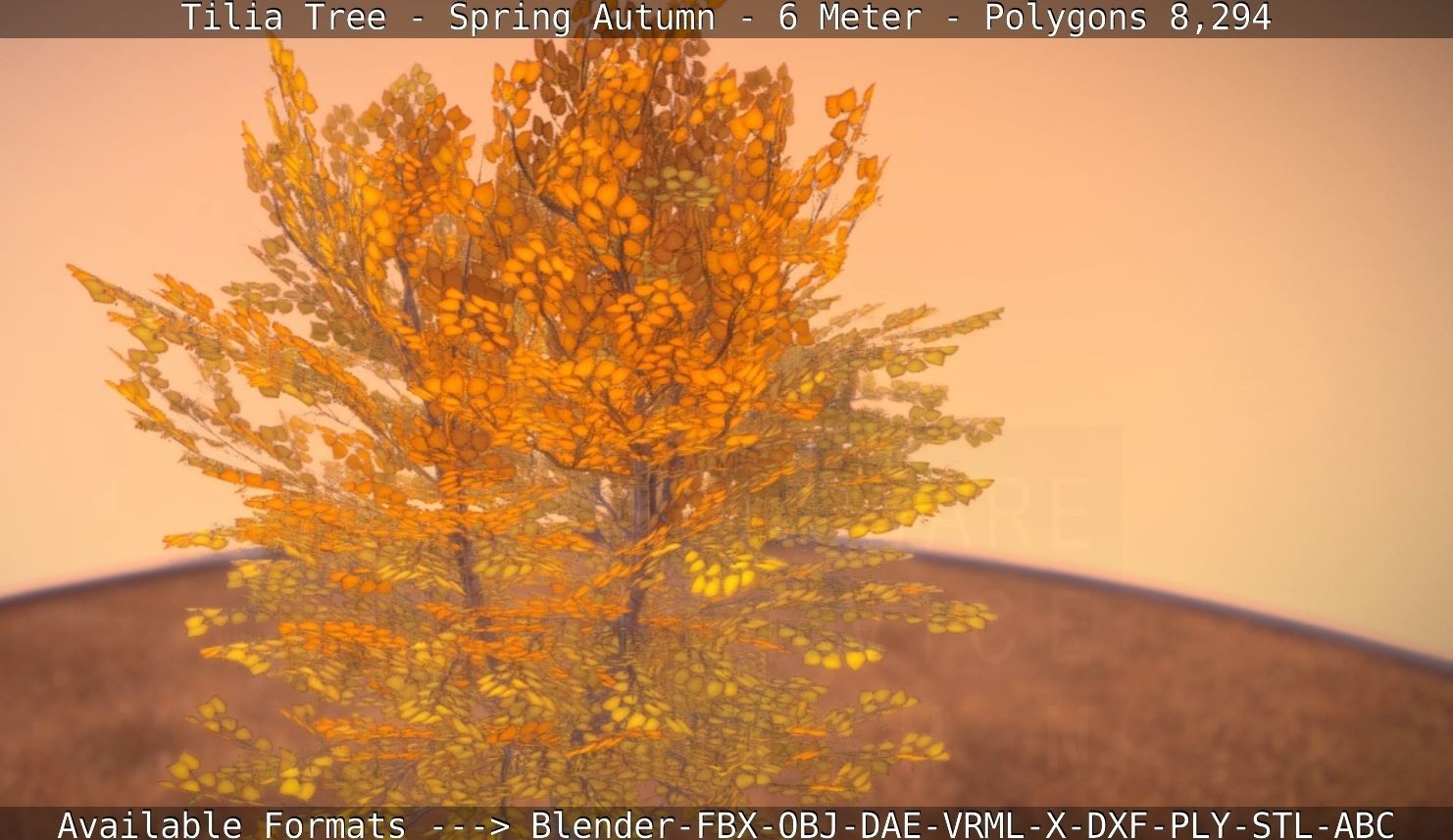 Tilia Tree - 6 Meter - Autumn  Low-poly 3D model_47