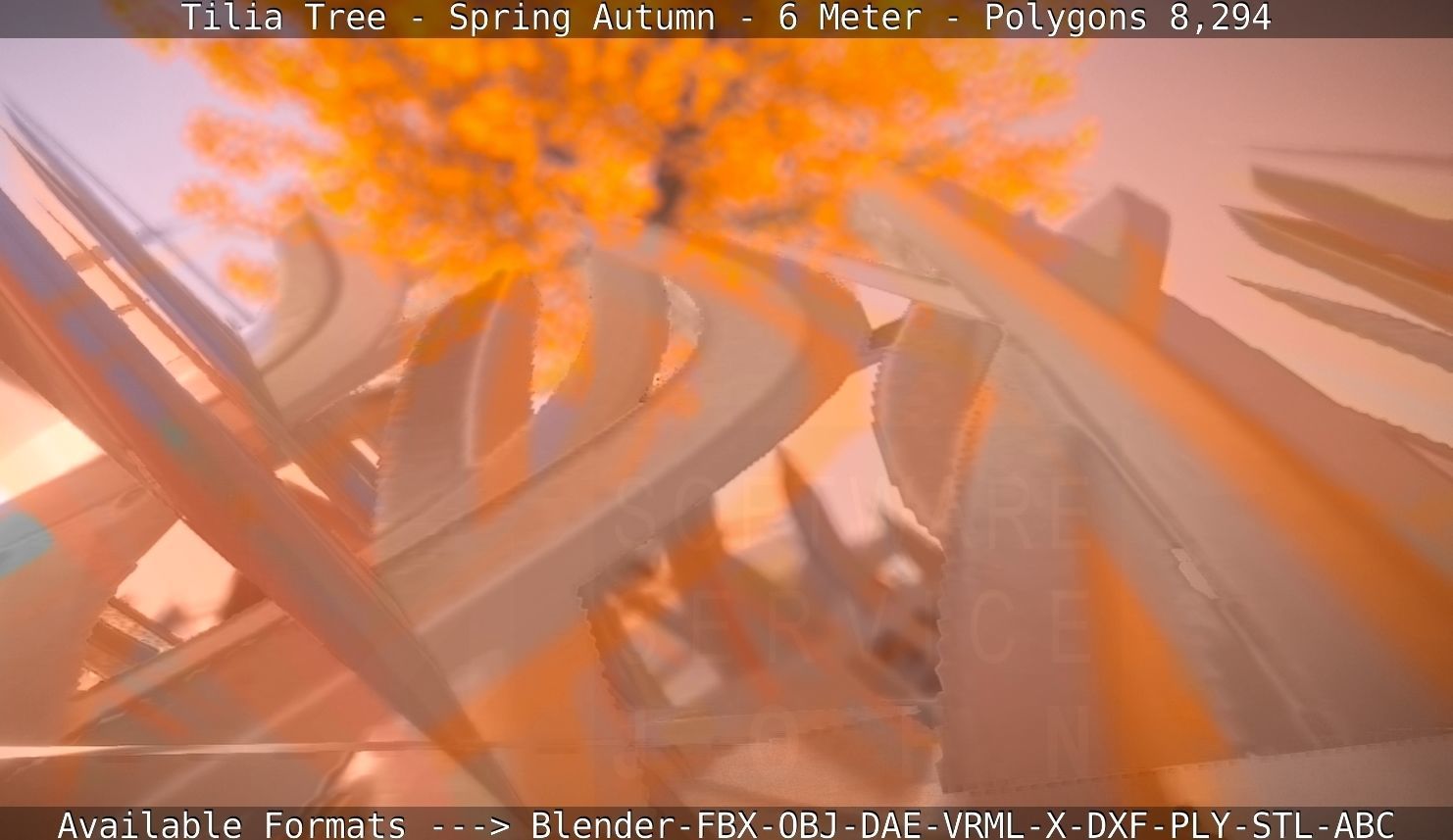 Tilia Tree - 6 Meter - Autumn  Low-poly 3D model_85