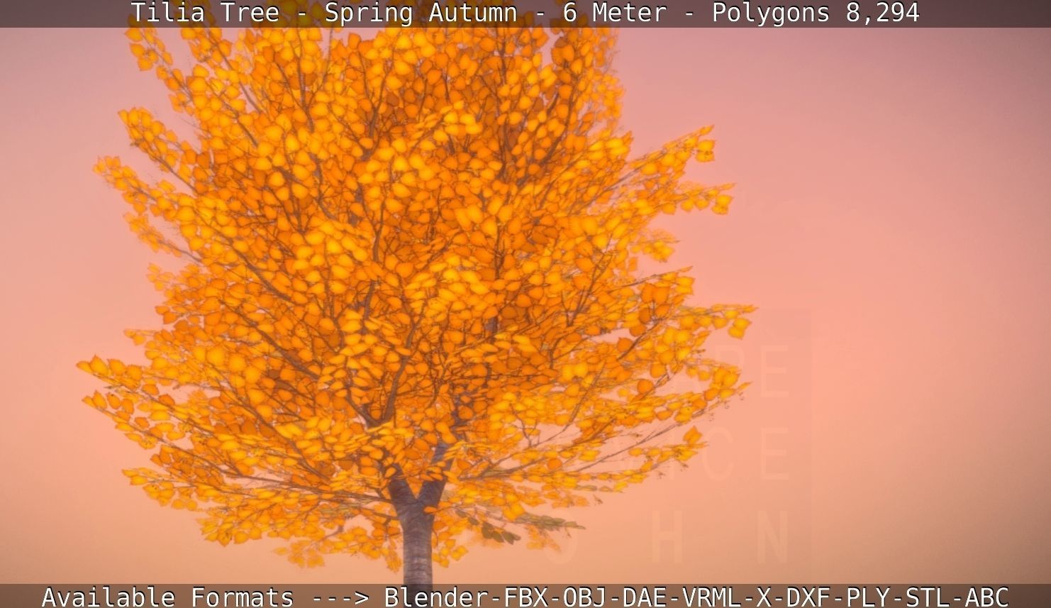 Tilia Tree - 6 Meter - Autumn  Low-poly 3D model_43