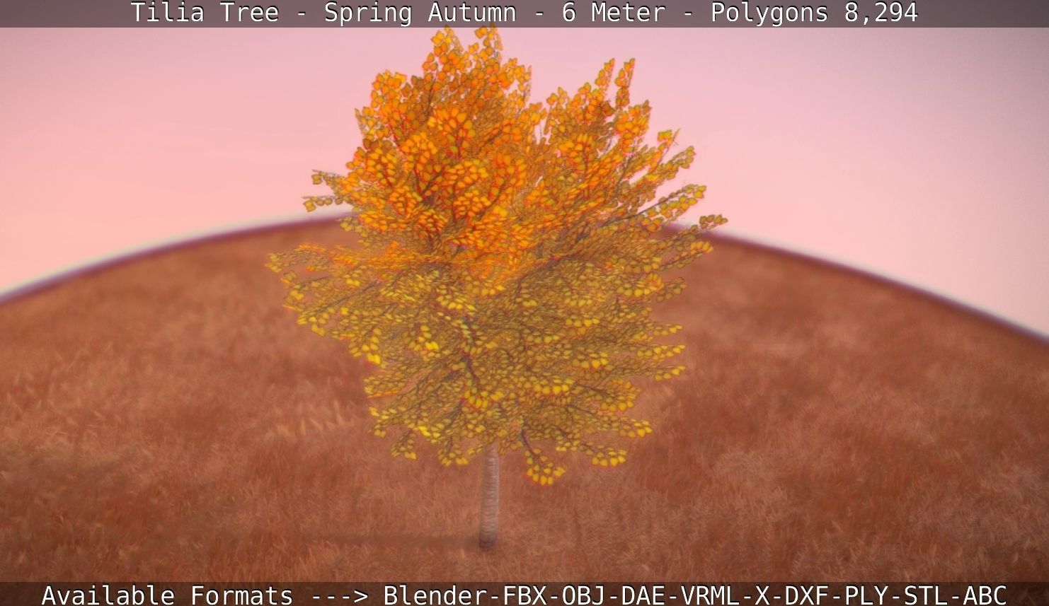 Tilia Tree - 6 Meter - Autumn  Low-poly 3D model_21