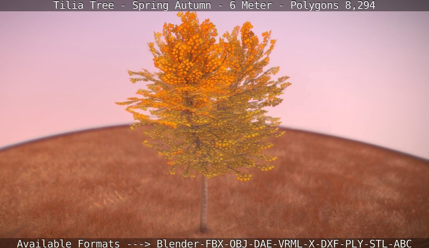 Tilia Tree - 6 Meter - Autumn  Low-poly 3D model_14