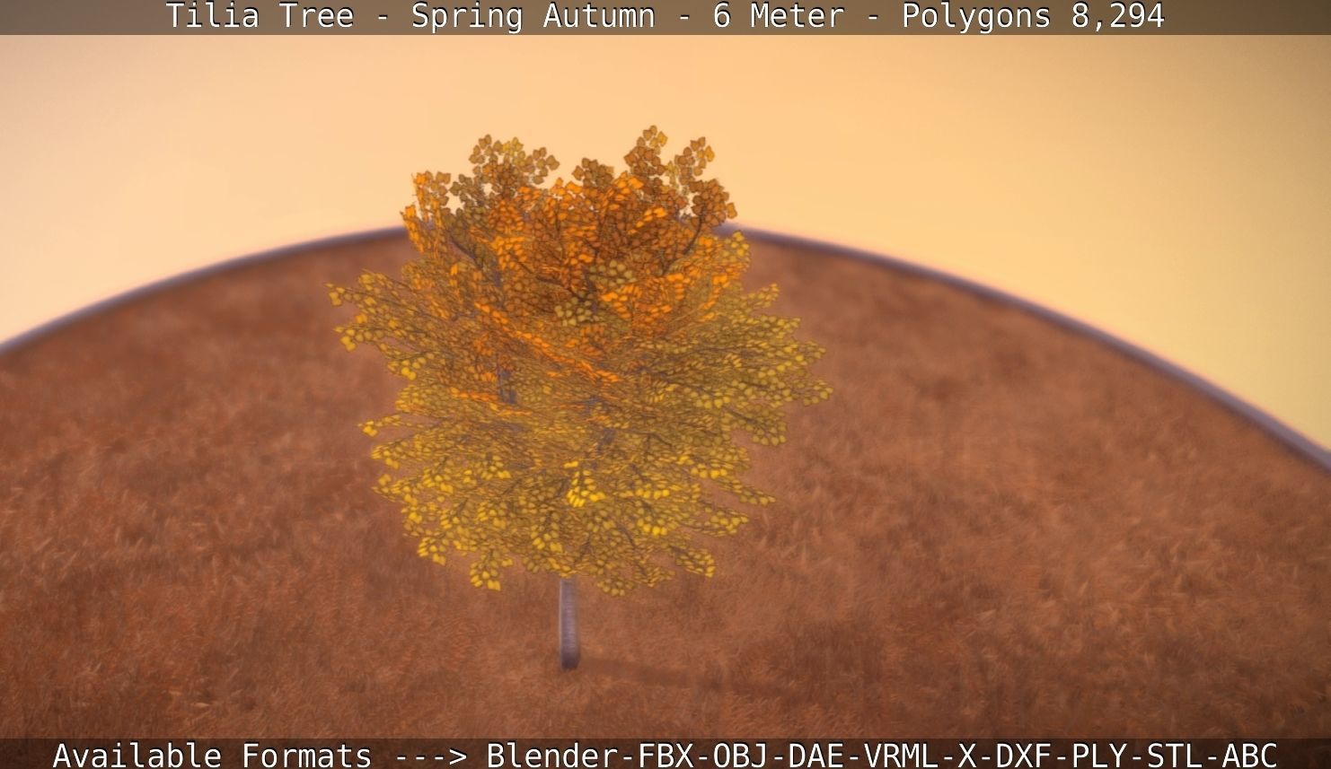 Tilia Tree - 6 Meter - Autumn  Low-poly 3D model_56