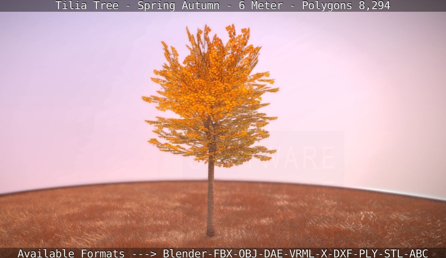 Tilia Tree - 6 Meter - Autumn  Low-poly 3D model_18