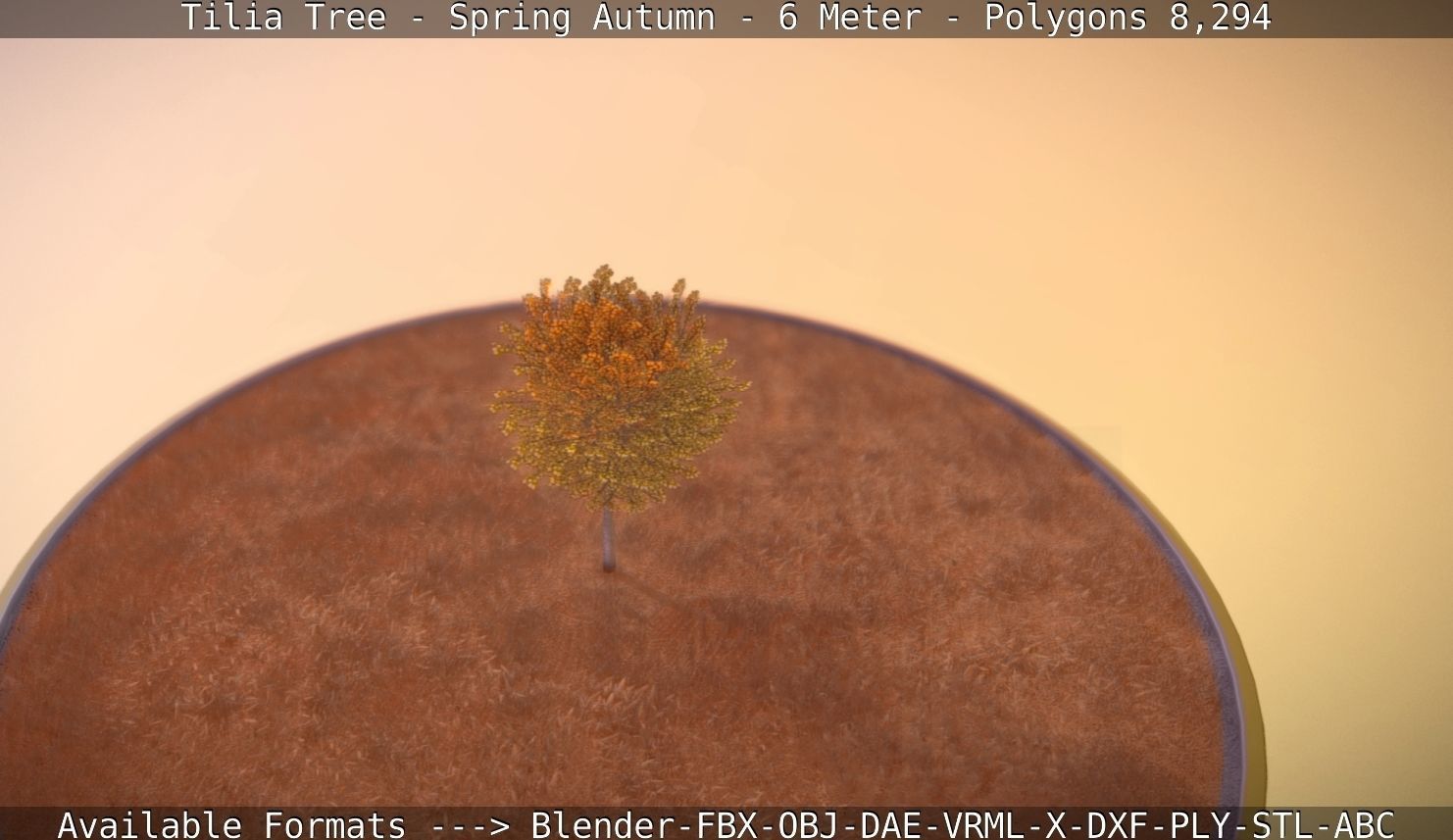 Tilia Tree - 6 Meter - Autumn  Low-poly 3D model_58